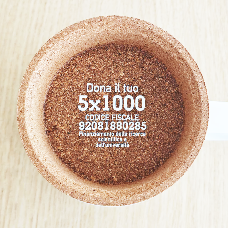 CdS_TazzaCeramicaSughero1_2026